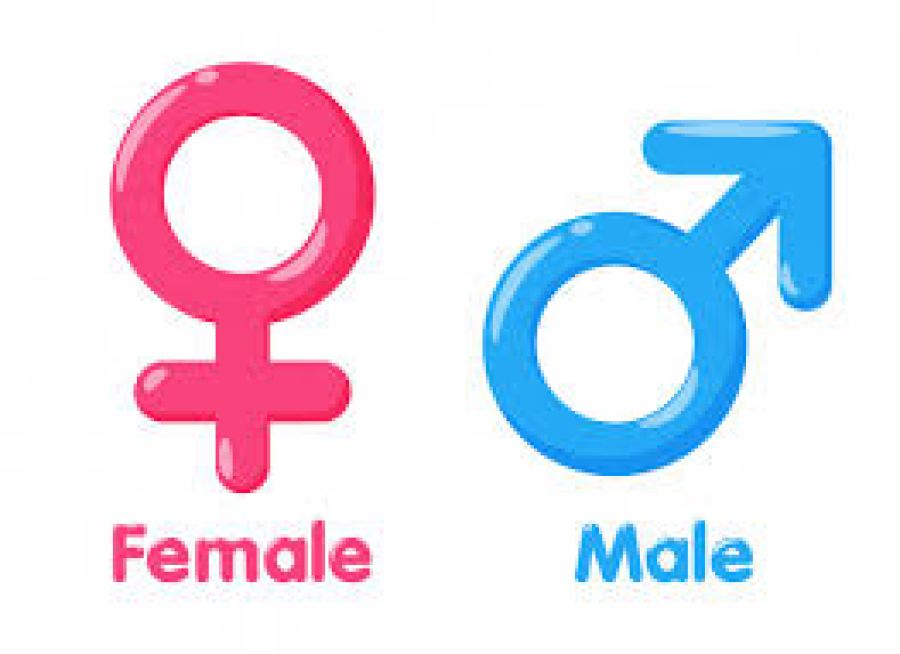 gender logo