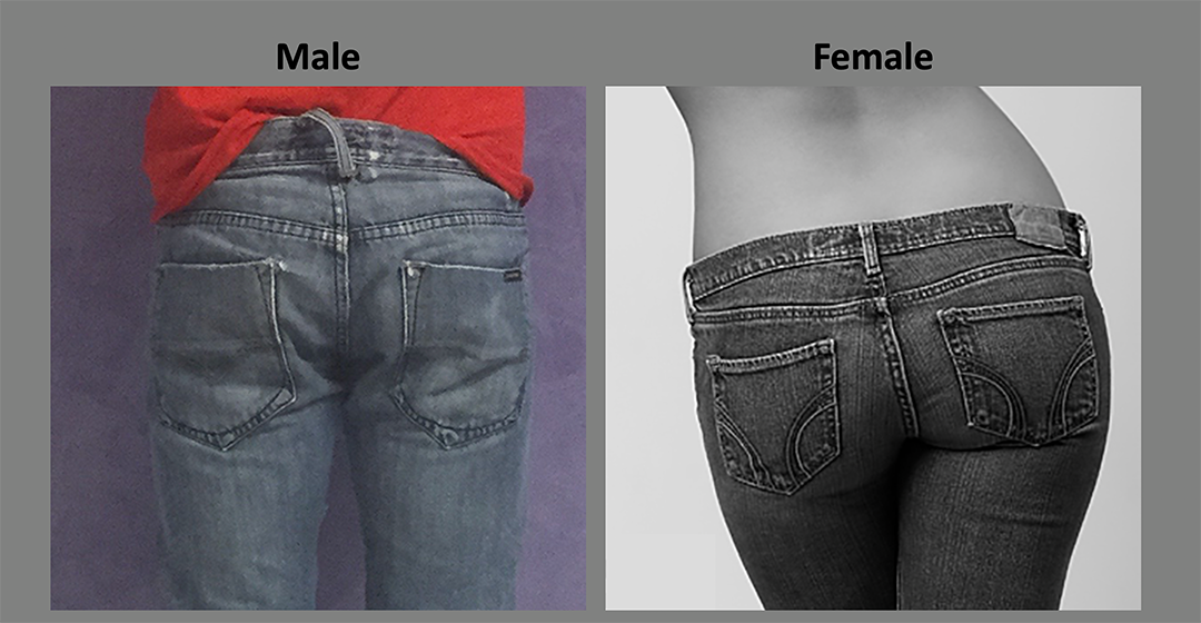 different butt in function of gender
