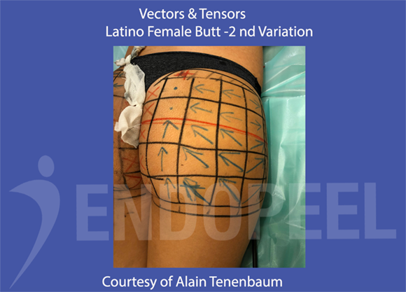 vectors-tensors-latino-female-V2.png