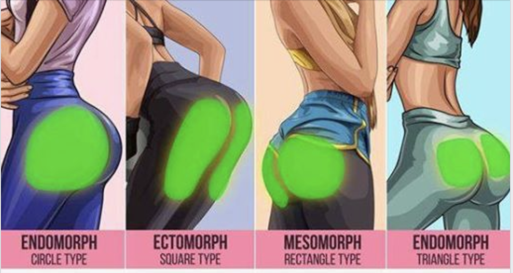the 4 butts types
